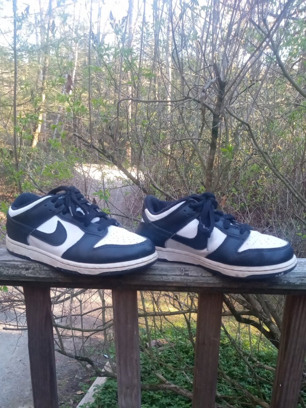 Nike Dunks